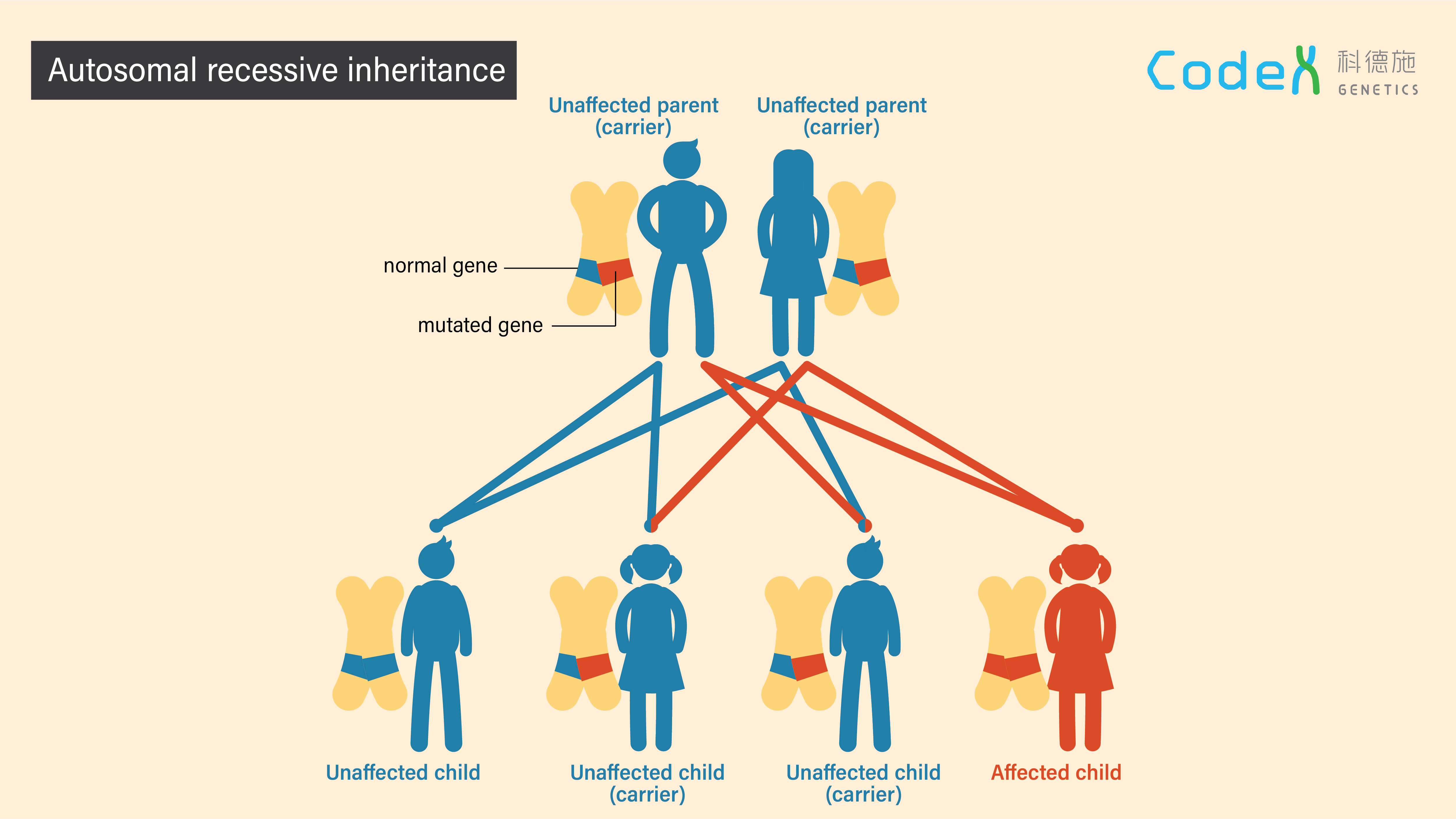 Autosomal recessive inheritance